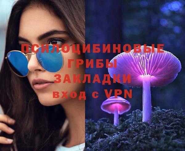 меф Богородицк