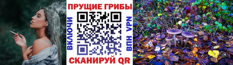 Псилоцибиновые грибы Cubensis Бородино